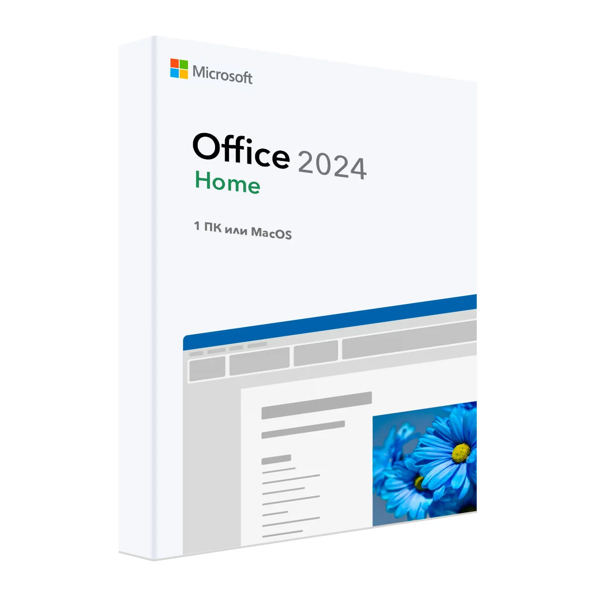 Microsoft Office 2024 Home